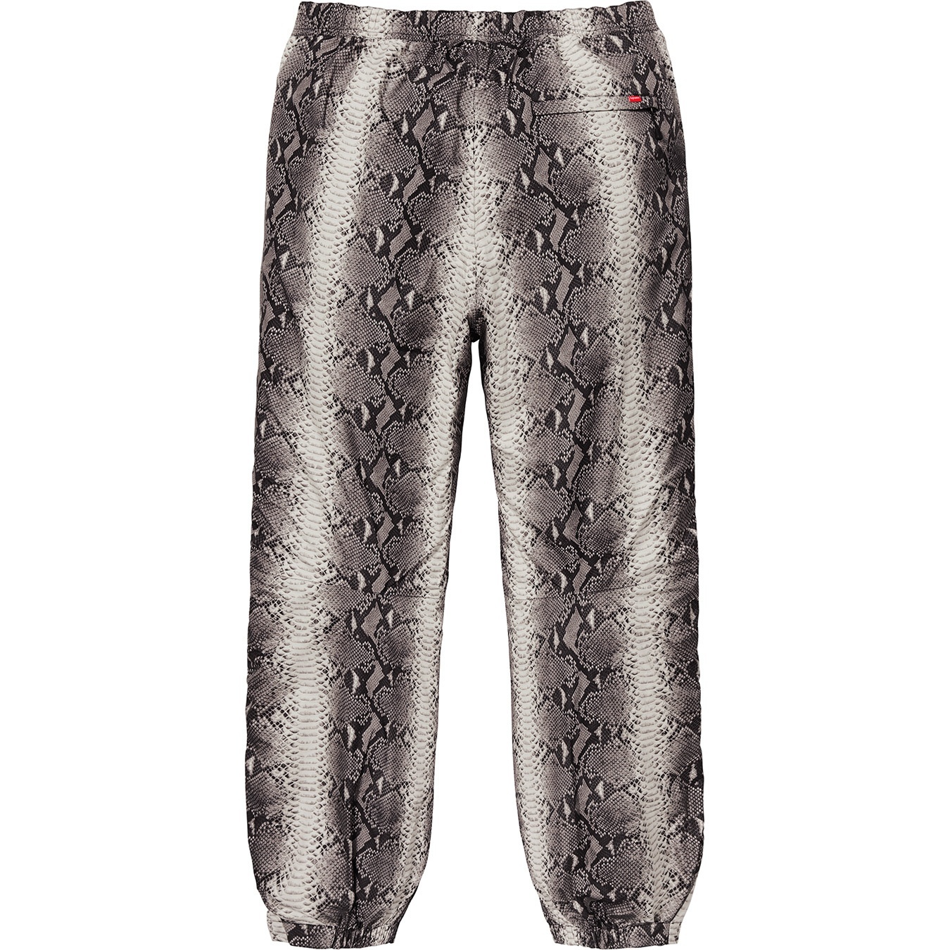 Supreme®/The North Face® Snakeskin Taped Seam Pant view 5